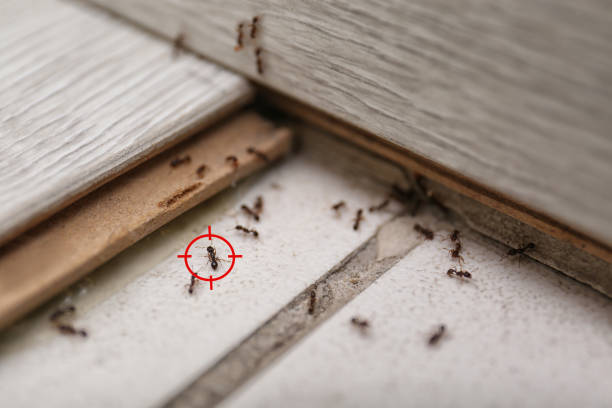 Pest Control Cost in Lemont Furnace, PA
